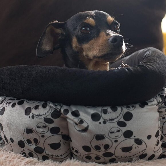 Rare Disney Nightmare Before Christmas Dog Cat Pet Bed BNWT - Picture 1 of 3